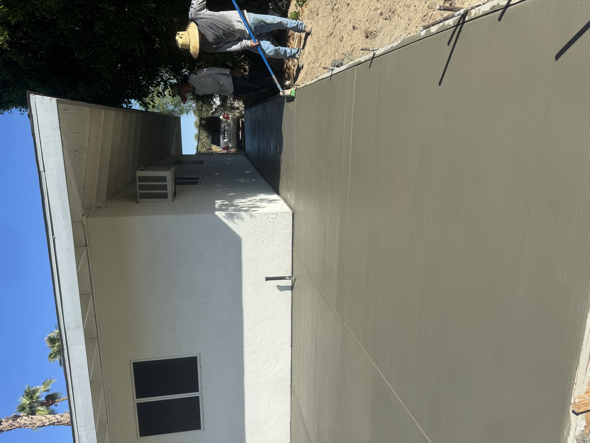 IMG 3618